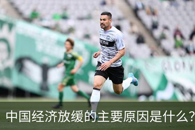 中国经济放缓的主要原因是什么？
