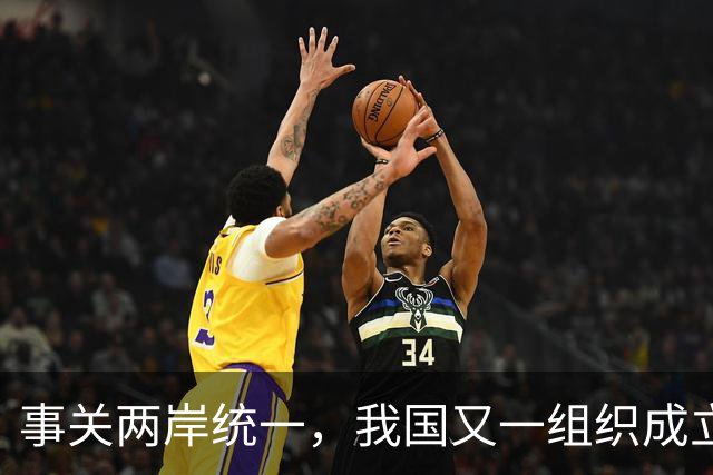 事关两岸统一，我国又一组织成立，台一“邦交”紧急向我国喊话