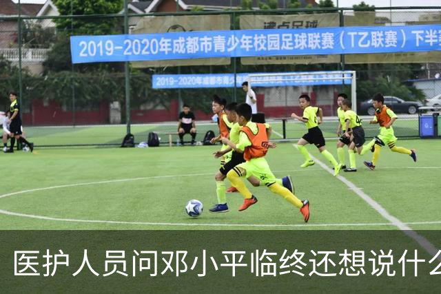 医护人员问邓小平临终还想说什么，他回答：该说的都说了