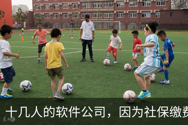 十几人的软件公司，因为社保缴费基数要调整，一年要增加50万成本