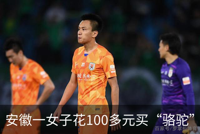 安徽一女子花100多元买“骆驼”冲锋衣，收到货一看，logo竟是一头咧着嘴笑的驴！有人质疑这是擦边，商家：商标已注册，不要只看图片外观