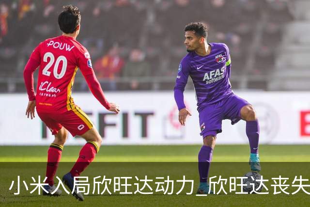 小米入局欣旺达动力 欣旺达丧失控制权