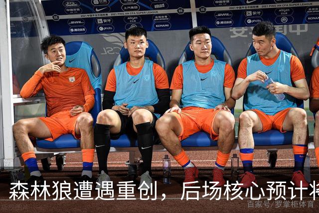 森林狼遭遇重创，后场核心预计将缺席两个月的时间？