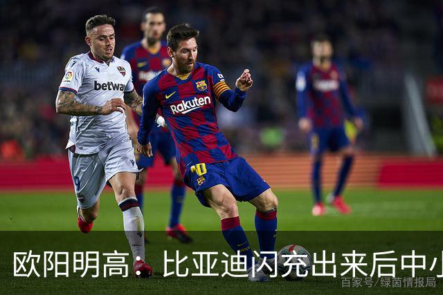 欧阳明高：比亚迪闪充出来后中小厂家、电池厂很焦虑 因为闪充投资太大