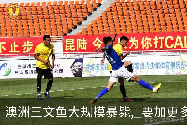 澳洲三文鱼大规模暴毙, 要加更多抗生素! 狂投5.4吨, 扩散超10公里, 鲍鱼海胆都被波及!
