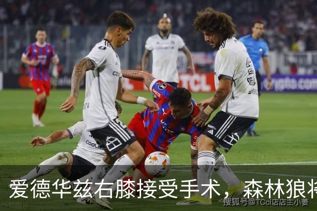 爱德华兹右膝接受手术，森林狼将一次性解决膝伤，预计休战2个月