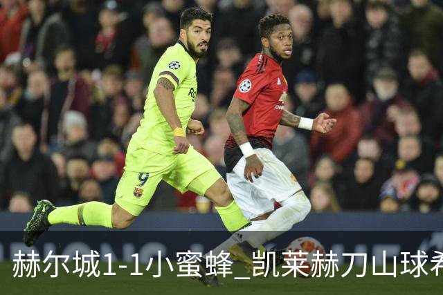 赫尔城1-1小蜜蜂 凯莱赫刀山球希基送点 麦克伯尼点射瓦塔拉扳平