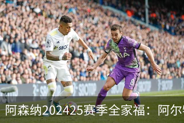 阿森纳2024/25赛季全家福：阿尔特塔&厄德高坐C位