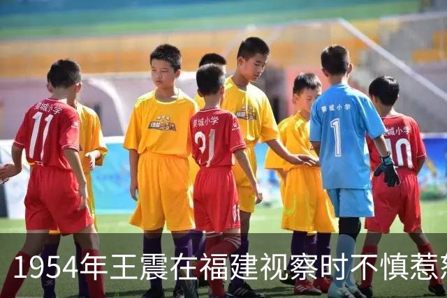 1954年王震在福建视察时不慎惹怒县长，对方直言：你好大胆！
