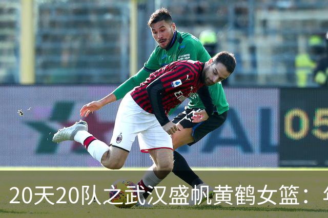 20天20队之武汉盛帆黄鹤女篮：年轻球员挑大梁 在顶级赛场中成长