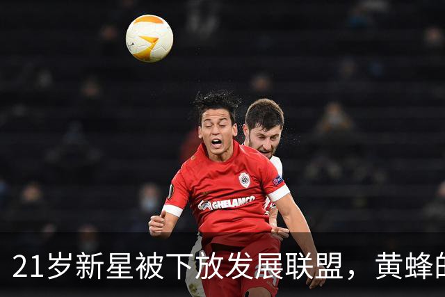 21岁新星被下放发展联盟，黄蜂的等待进入下一阶段