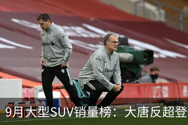 9月大型SUV销量榜：大唐反超登顶，小米澎程首秀进前十