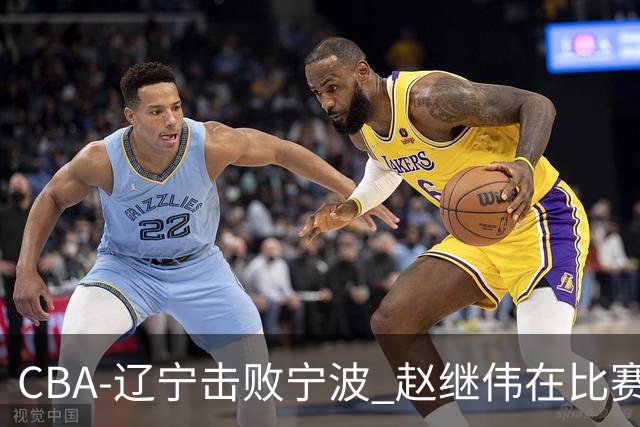 CBA-辽宁击败宁波 赵继伟在比赛中
